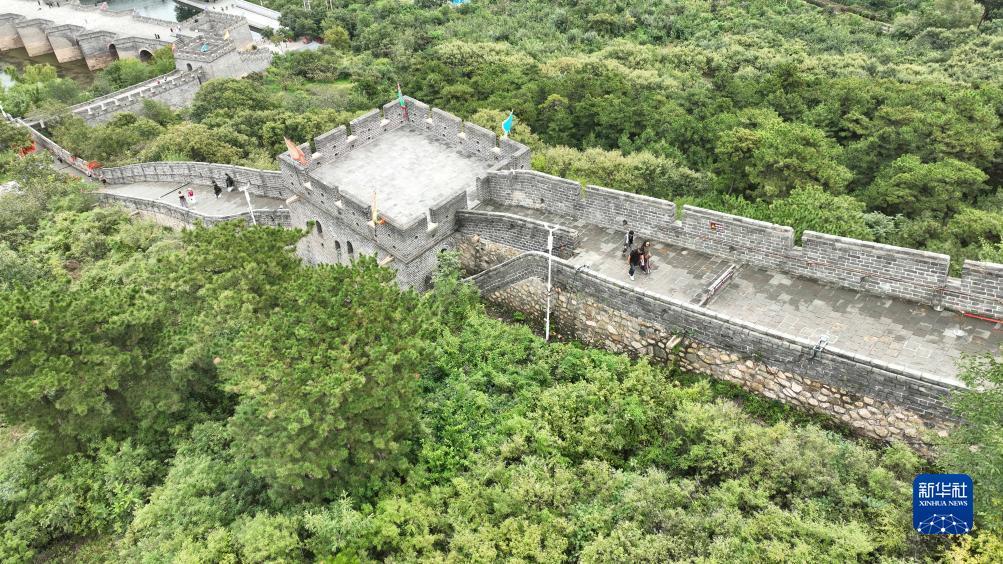 奥门黄冠